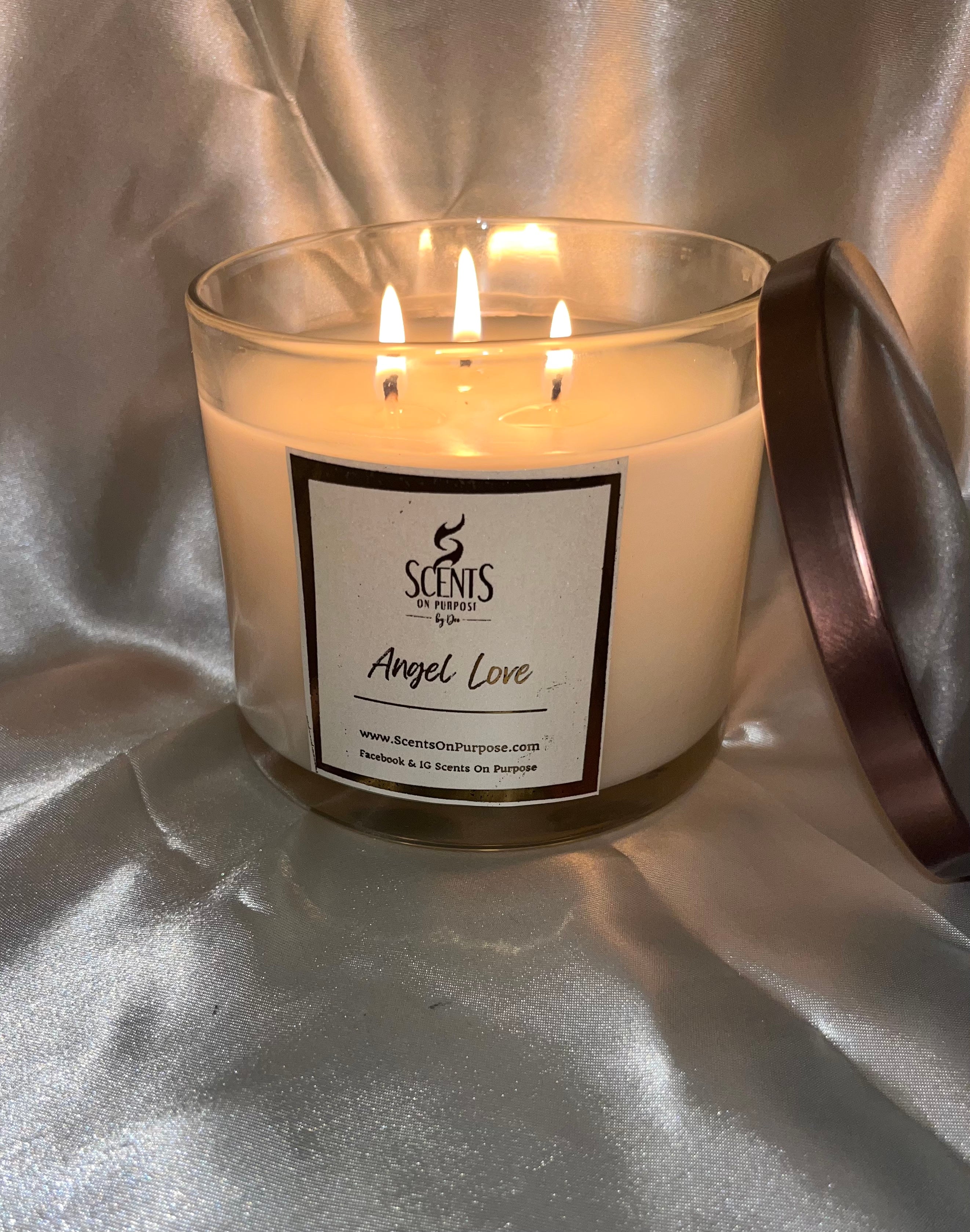 3 Wick Candles ScentsOnPurpose